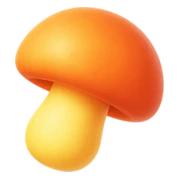 Mushroom