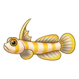 Antenna Fish Rare
