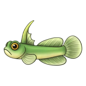 Antenna Fish Standard