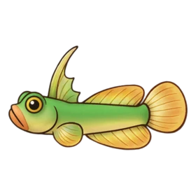 Antenna Fish Uncommon