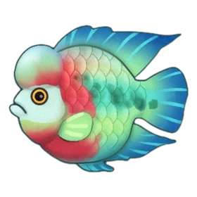 Arhat Fish Rare
