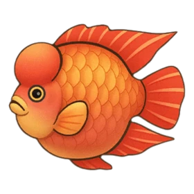 Arhat Fish Uncommon