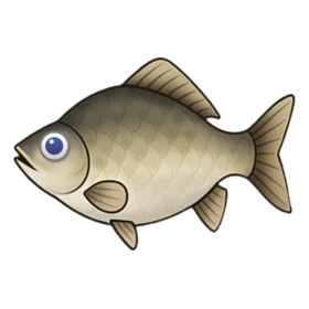 Black Crucian Standard