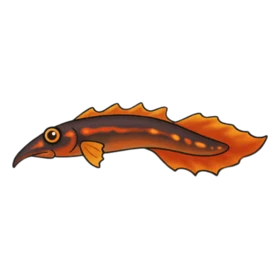 Blade Fish Rare