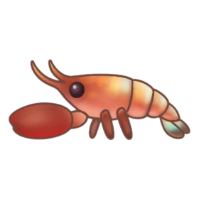 Boxer Shrimp Epic