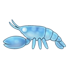 Boxer Shrimp - Party Animals fish