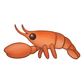 Boxer Shrimp Standard