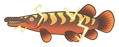 筷子鳝 - Party Animals fish