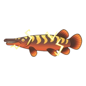 Chopstick Gar - Party Animals fish
