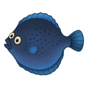 Copyfish Rare