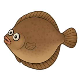 Copyfish Standard