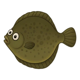 Copyfish Uncommon