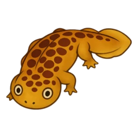 Cry Fish Rare