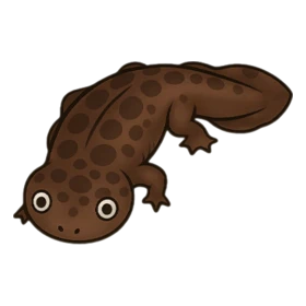 Cry Fish Standard