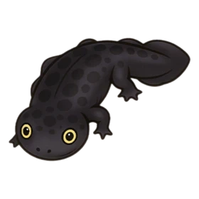 Cry Fish Uncommon