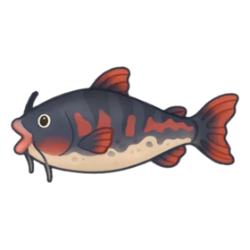 Dopey Catfish Epic