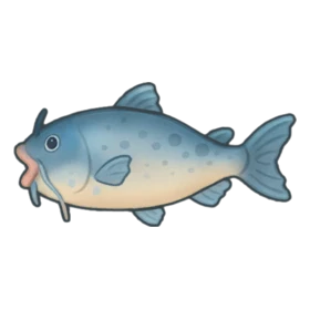 Dopey Catfish Rare