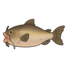 Dopey Catfish Standard