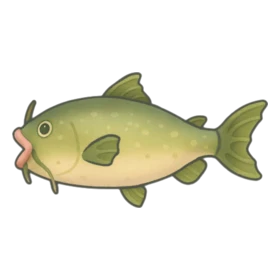 Dopey Catfish Uncommon