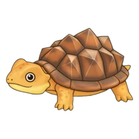 Durian Turtle Rare