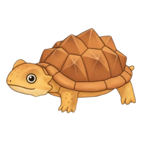 Durian Turtle Standard