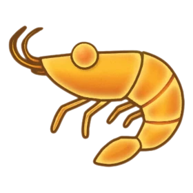 Fan Shrimp - Party Animals fish
