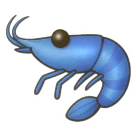 Fan Shrimp Rare