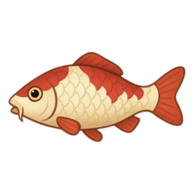 Fortune Carp Rare