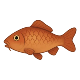 Fortune Carp Uncommon