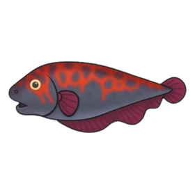 Ghostblade Fish Rare