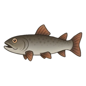 Ghostiger Fish Standard