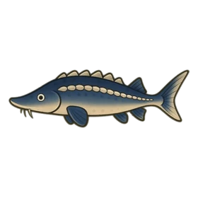 Glacial Sturgeon Rare