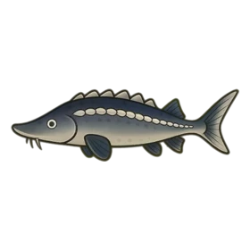 Glacial Sturgeon Uncommon