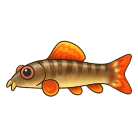 Glam Loach Epic