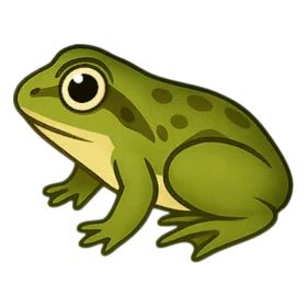 Golden Frog Rare