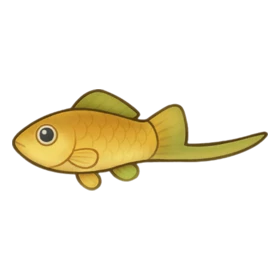 Hero Fish Rare
