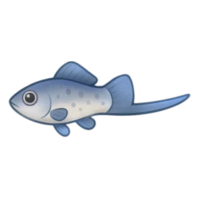 Hero Fish Standard