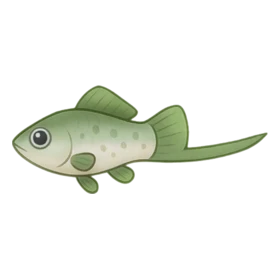 Hero Fish Uncommon
