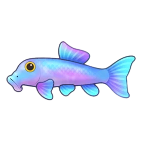Hognose Fish - Party Animals fish