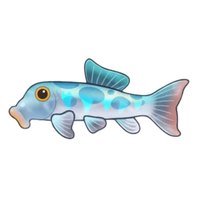 Hognose Fish Rare