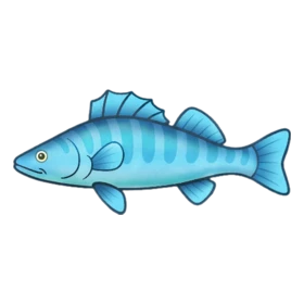Icicle Fish Rare