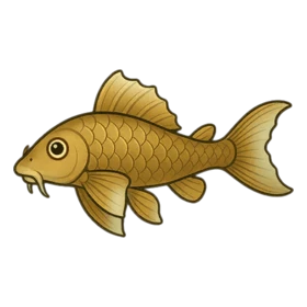 Janitor Fish Standard
