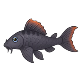 Janitor Fish Uncommon