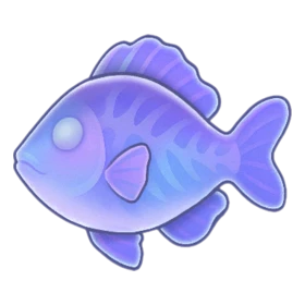 Jello Fish Rare