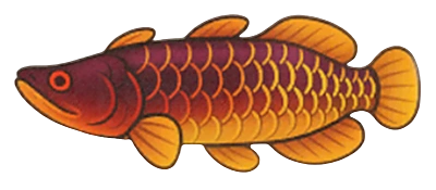 Lava Fish