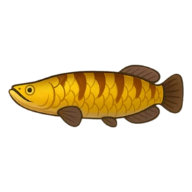 Lava Fish Epic