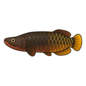 Lava Fish Rare