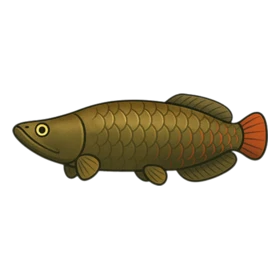 Lava Fish Standard