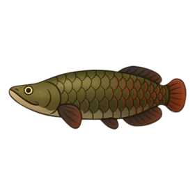 Lava Fish Uncommon