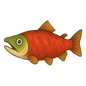 Liar Fish Epic